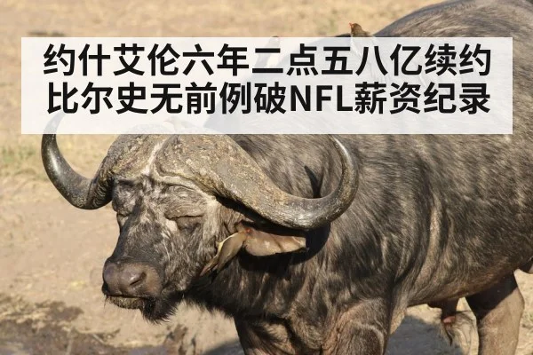 Buffalo Bills quarterback