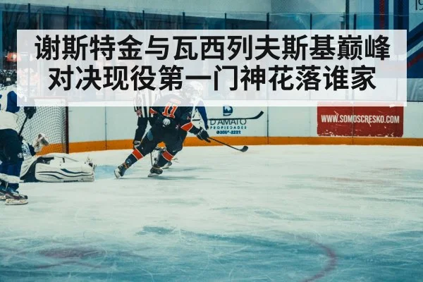 ice hockey match action